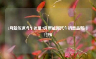 3月新能源汽车销量,3月新能源汽车销量最新排行榜