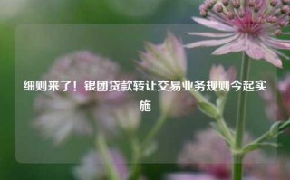 细则来了！银团贷款转让交易业务规则今起实施