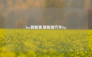 fmc新能源,新能源汽车fcp