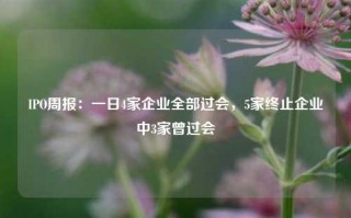 IPO周报：一日4家企业全部过会，5家终止企业中3家曾过会