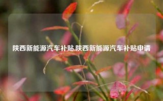 陕西新能源汽车补贴,陕西新能源汽车补贴申请