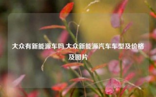 大众有新能源车吗,大众新能源汽车车型及价格及图片