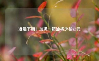 凌晨下调！加满一箱油将少花5.5元