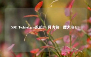 SOFI Technologies跌超8% 月内曾一度大涨42%