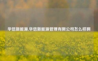 华信新能源,华信新能源管理有限公司怎么样啊