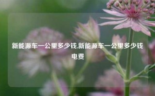 新能源车一公里多少钱,新能源车一公里多少钱电费