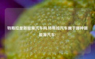 特斯拉是新能源汽车吗,特斯拉汽车属于哪种新能源汽车?