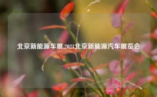 北京新能源车展,2021北京新能源汽车展览会