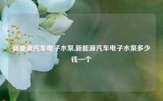 新能源汽车电子水泵,新能源汽车电子水泵多少钱一个