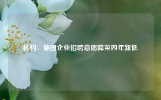 机构：德国企业招聘意愿降至四年新低