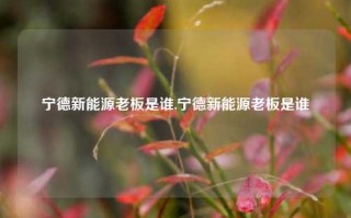 宁德新能源老板是谁,宁德新能源老板是谁