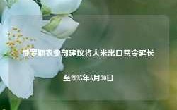 俄罗斯农业部建议将大米出口禁令延长至2025年6月30日