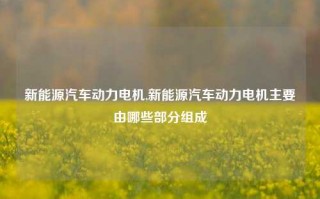 新能源汽车动力电机,新能源汽车动力电机主要由哪些部分组成