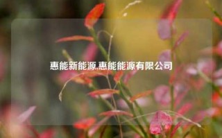 惠能新能源,惠能能源有限公司