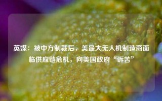 英媒：被中方制裁后，美最大无人机制造商面临供应链危机，向美国政府“诉苦”