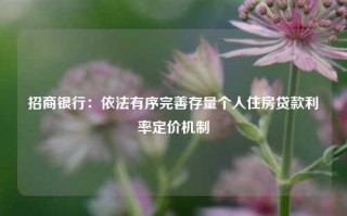 招商银行：依法有序完善存量个人住房贷款利率定价机制