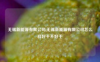 无锡新能源有限公司,无锡新能源有限公司怎么样好干不好干