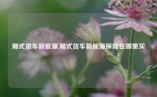 厢式货车新能源,厢式货车新能源保险在哪里买