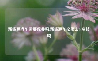 新能源汽车需要保养吗,新能源车必须去4s店修吗