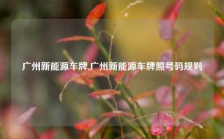 广州新能源车牌,广州新能源车牌照号码规则