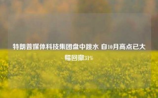 特朗普媒体科技集团盘中跳水 自10月高点已大幅回撤31%