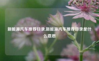 新能源汽车推荐目录,新能源汽车推荐目录是什么意思