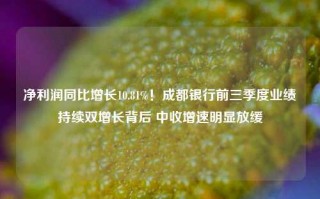 净利润同比增长10.81%！成都银行前三季度业绩持续双增长背后 中收增速明显放缓