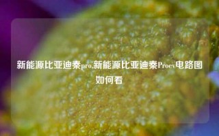 新能源比亚迪秦pro,新能源比亚迪秦Proev电路图如何看