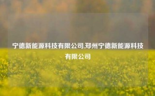 宁德新能源科技有限公司,郑州宁德新能源科技有限公司