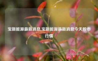 宝新能源最新消息,宝新能源最新消息今天股市行情