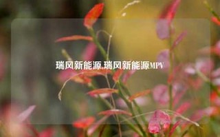 瑞风新能源,瑞风新能源MPV