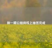 新一期公租房线上抽签完成