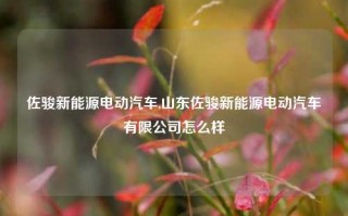 佐骏新能源电动汽车,山东佐骏新能源电动汽车有限公司怎么样