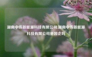 湖南中伟新能源科技有限公司,湖南中伟新能源科技有限公司是国企吗