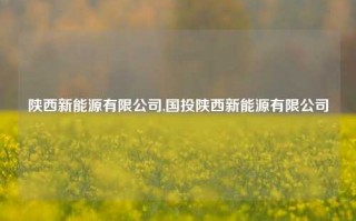 陕西新能源有限公司,国投陕西新能源有限公司