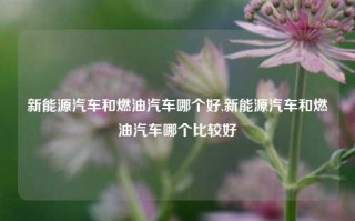 新能源汽车和燃油汽车哪个好,新能源汽车和燃油汽车哪个比较好