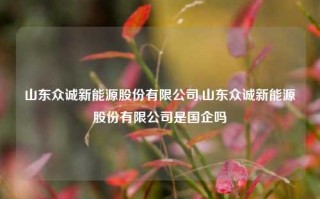 山东众诚新能源股份有限公司,山东众诚新能源股份有限公司是国企吗