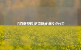 招商新能源,招商新能源投资公司