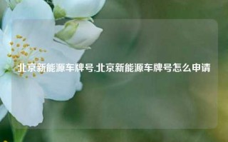 北京新能源车牌号,北京新能源车牌号怎么申请