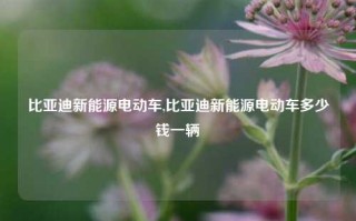 比亚迪新能源电动车,比亚迪新能源电动车多少钱一辆