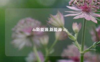 dn新能源,新能源 dfg