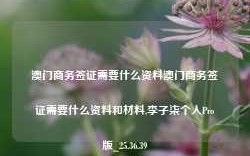 澳门商务签证需要什么资料澳门商务签证需要什么资料和材料,李子柒个人Pro版_25.36.39