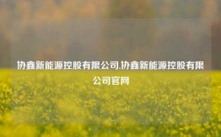 协鑫新能源控股有限公司,协鑫新能源控股有限公司官网