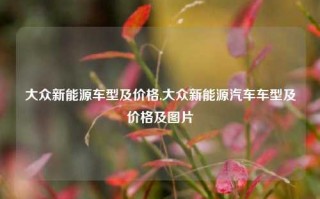 大众新能源车型及价格,大众新能源汽车车型及价格及图片