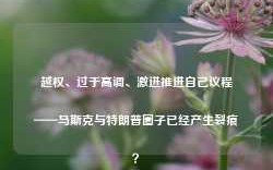 越权、过于高调、激进推进自己议程——马斯克与特朗普圈子已经产生裂痕？