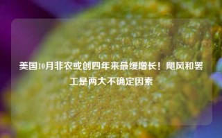 美国10月非农或创四年来最缓增长！飓风和罢工是两大不确定因素