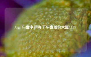 Angi Inc盘中异动 下午盘股价大涨5.11%