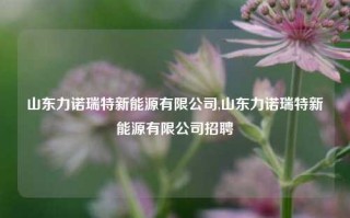 山东力诺瑞特新能源有限公司,山东力诺瑞特新能源有限公司招聘