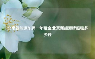 北京新能源车牌一年租金,北京新能源牌照租多少钱