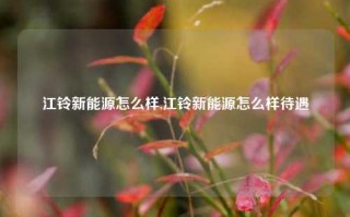 江铃新能源怎么样,江铃新能源怎么样待遇